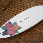 windsurf apollo eco construit lin 