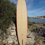  longboard gemini 9'2